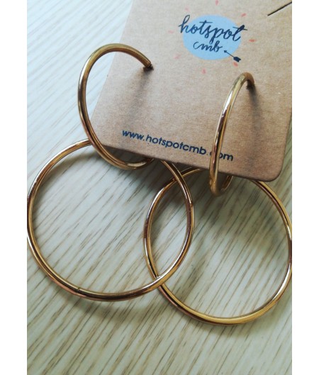 Golden Double Hoops